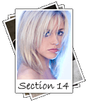 Shoulder length hair image collection.