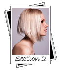 Medium style haircuts selection.